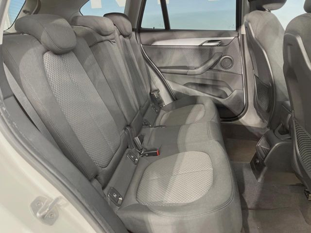 ���㕔���Ȃ��C�ɂȂ�悤�ȃL�Y�E�����ւ��蓙�A�傫�ȃ_���[�W�͂Ȃ��A�ǍD�ȏ�Ԃł��B