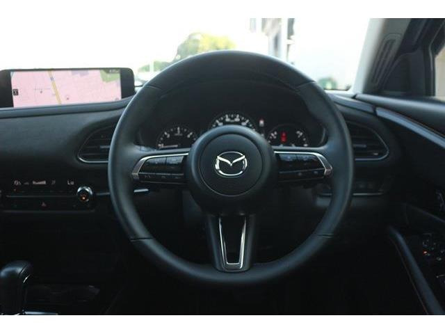 ���Ǝҗl�ւ̔̔��͂��f�肳���Ă��������܂��B �Ԍ������ԗ��̏ꍇ�́A�Ԍ����擾�������x�������z�ŕ\�����Ă���܂��B