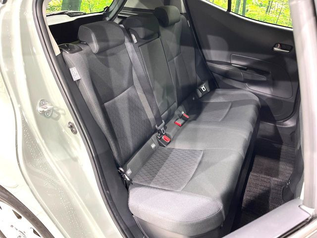 �㕔���Ȃ��C�ɂȂ�悤�ȃL�Y�E�����ւ��蓙�A�傫�ȃ_���[�W�͂Ȃ��A�ǍD�ȏ�Ԃł��B