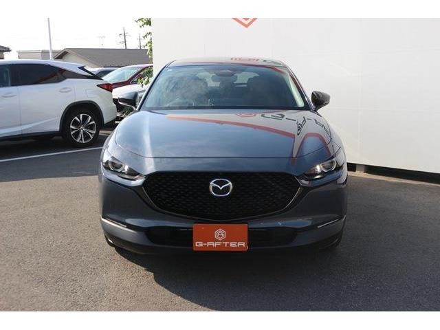 ���Ǝҗl�ւ̔̔��͂��f�肳���Ă��������܂��B �Ԍ������ԗ��̏ꍇ�́A�Ԍ����擾�������x�������z�ŕ\�����Ă���܂��B