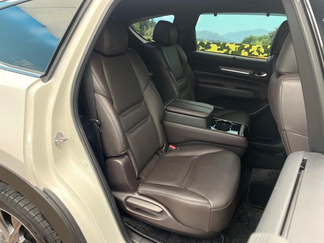 �㕔���Ȃ��C�ɂȂ�悤�ȃL�Y�E�����ւ��蓙�A�傫�ȃ_���[�W�͂Ȃ��A�ǍD�ȏ�Ԃł��B