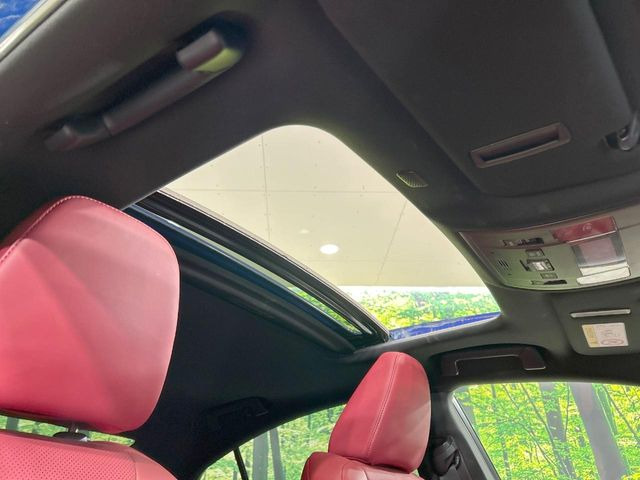 �y�T�����[�t�z�J���������Ղ�̊󏭑����A�T�����[�t����������Ă��܂�!�ԓ��ɖ�����������ꂽ��i�F���y���ވȊO�ɂ��A�ԓ��̋�C���ȒP�Ɋ��C�ł��ĉ��K�ł�!