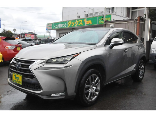 NX300h Iパッケージ