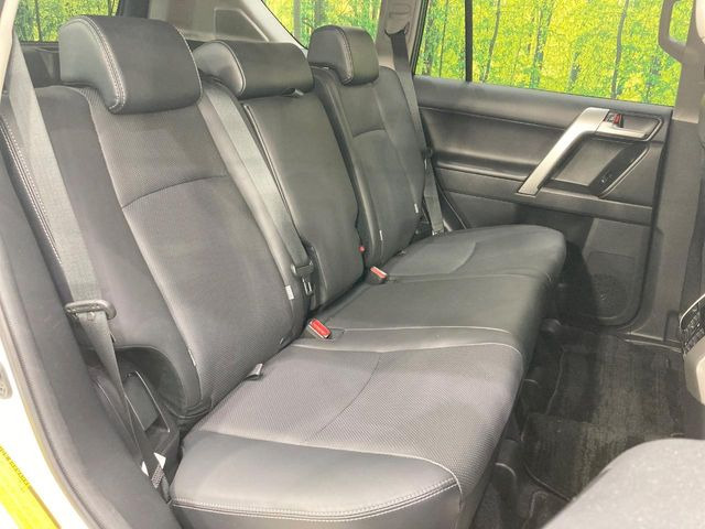 �㕔���Ȃ��C�ɂȂ�悤�ȃL�Y�E�����ւ��蓙�A�傫�ȃ_���[�W�͂Ȃ��A�ǍD�ȏ�Ԃł��B