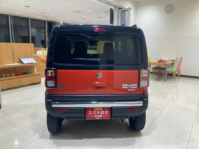 ハスラータフワイルド