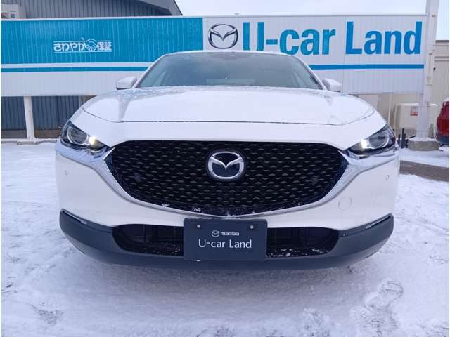 CX-301.8 XD プロアクティブ 4WD