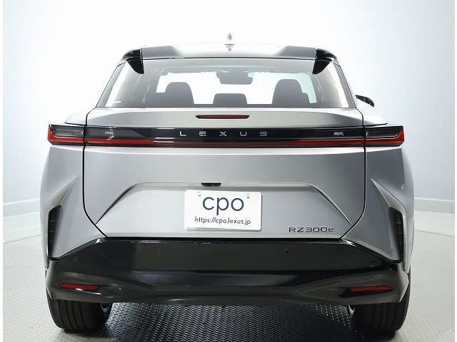 RZ300e バージョンL