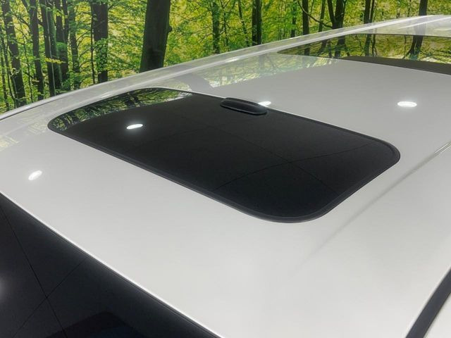 �y�T�����[�t�z�J���������Ղ�̊󏭑����A�T�����[�t����������Ă��܂�!�ԓ��ɖ�����������ꂽ��i�F���y���ވȊO�ɂ��A�ԓ��̋�C���ȒP�Ɋ��C�ł��ĉ��K�ł�!