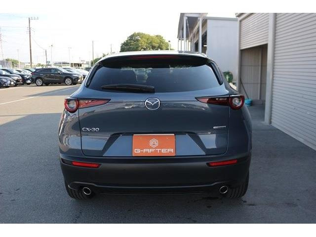 ���Ǝҗl�ւ̔̔��͂��f�肳���Ă��������܂��B �Ԍ������ԗ��̏ꍇ�́A�Ԍ����擾�������x�������z�ŕ\�����Ă���܂��B