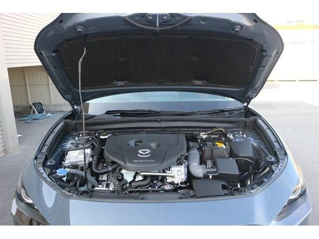 ���Ǝҗl�ւ̔̔��͂��f�肳���Ă��������܂��B �Ԍ������ԗ��̏ꍇ�́A�Ԍ����擾�������x�������z�ŕ\�����Ă���܂��B