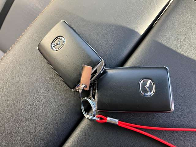 ���A�h�o���X�g�L�[���X���g�у����R���������Ă���΃��N�G�X�g�X�C�b�`�����������Ńh�A�̎{���E�������\!�u���[�L�𓥂�ŃG���W���X�C�b�`�������΃G���W���̎n���E��~���ł��܂�!