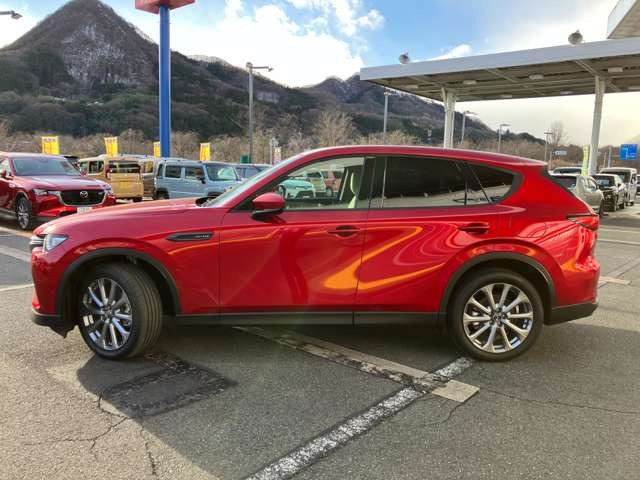 �S���̃}�c�_�f�B�[���[�ŕۏ؂����󂯒����郁�[�J�[�ۏ؂��p�����܂�!�ۏ،p����p��ʓr�������͂���܂���̂ň��S���ĉ�����!