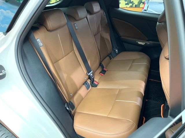 �㕔���Ȃ��C�ɂȂ�悤�ȃL�Y�E�����ւ��蓙�A�傫�ȃ_���[�W�͂Ȃ��A�ǍD�ȏ�Ԃł��B