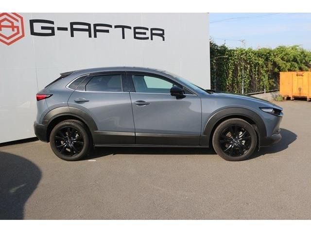 ���Ǝҗl�ւ̔̔��͂��f�肳���Ă��������܂��B �Ԍ������ԗ��̏ꍇ�́A�Ԍ����擾�������x�������z�ŕ\�����Ă���܂��B