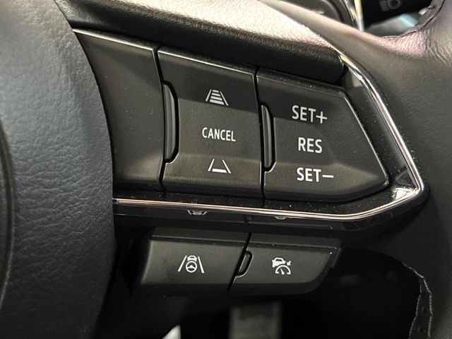 �y�}�c�_�E���[�_�[�N���[�Y�R���g���[���z�������H�ł̒��������s���y��!�����ő��x��ۂN���[�Y�R���g���[�����A�Փˌy���V�X�e���ƘA�g���A�O���̎ԗ������m���ĎԊԂ�ۂ悤�ɑ��x���߂��Ă���܂�!!