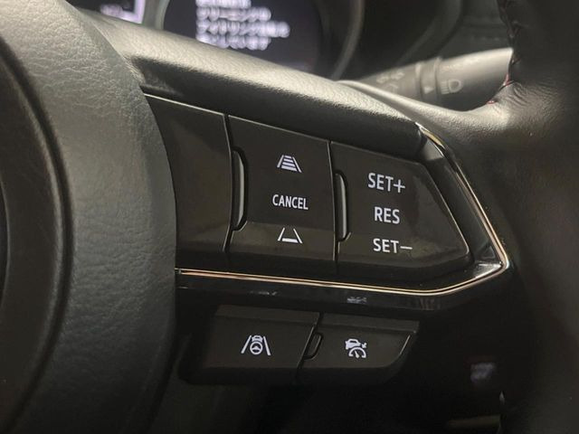 �y�}�c�_�E���[�_�[�N���[�Y�R���g���[���z�������H�ł̒��������s���y��!�����ő��x��ۂN���[�Y�R���g���[�����A�Փˌy���V�X�e���ƘA�g���A�O���̎ԗ������m���ĎԊԂ�ۂ悤�ɑ��x���߂��Ă���܂�!!