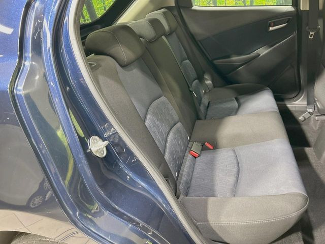 �㕔���Ȃ��C�ɂȂ�悤�ȃL�Y�E�����ւ��蓙�A�傫�ȃ_���[�W�͂Ȃ��A�ǍD�ȏ�Ԃł��B