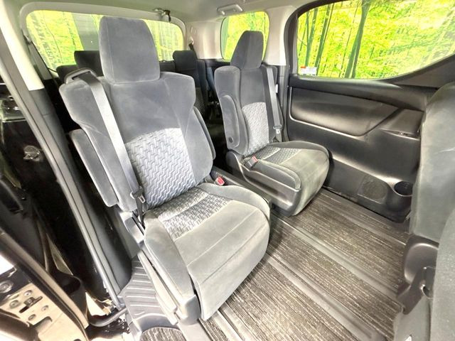 �㕔���Ȃ��C�ɂȂ�悤�ȃL�Y�E�����ւ��蓙�A�傫�ȃ_���[�W�͂Ȃ��A�ǍD�ȏ�Ԃł��B