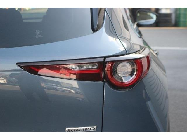 ���Ǝҗl�ւ̔̔��͂��f�肳���Ă��������܂��B �Ԍ������ԗ��̏ꍇ�́A�Ԍ����擾�������x�������z�ŕ\�����Ă���܂��B