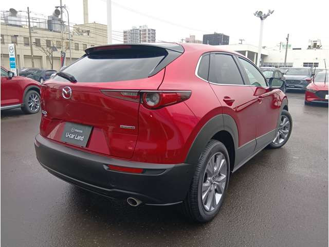 CX-301.8 XD Lパッケージ 4WD
