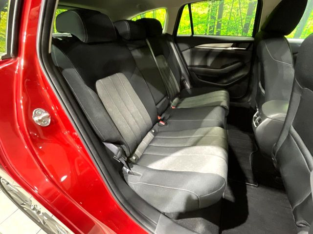 �㕔���Ȃ��C�ɂȂ�悤�ȃL�Y�E�����ւ��蓙�A�傫�ȃ_���[�W�͂Ȃ��A�ǍD�ȏ�Ԃł��B