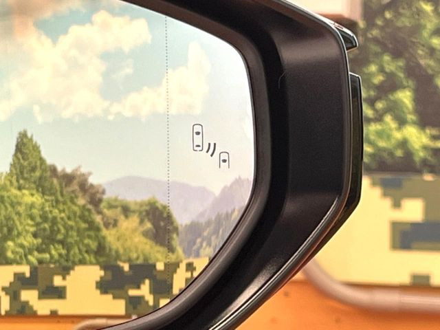 �y�u���C���h�X�|�b�g���j�^�[�z���s���A�h�A�~���[�̎��p�ɂȂ�₷���ӏ��Ɍ㑱�Ԃ��ڋ߂���ƃT�C�h�~���[�̃����Y�Ɍx����\��!�h���C�o�[�ɒ��ӊ��N�����Ă���܂��B