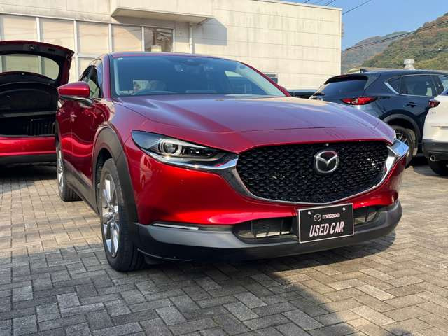 CX-302.0 20S プロアクティブ