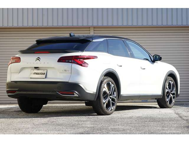 C5 Xシャイン パック