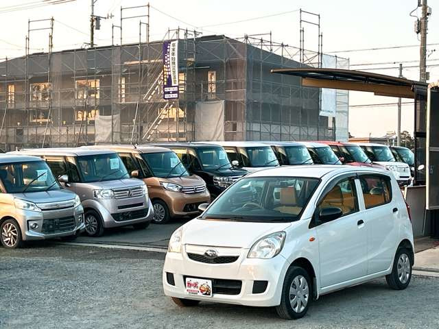 �y39.8���X�J�[�Y�̎��q���������������A���ɂ��肪�Ƃ��������܂��B���������S�s���c1186-7TEL:0942-73-6060�܂ł��⍇����������