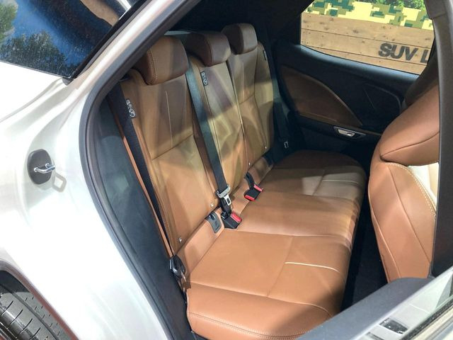 �㕔���Ȃ��C�ɂȂ�悤�ȃL�Y�E�����ւ��蓙�A�傫�ȃ_���[�W�͂Ȃ��A�ǍD�ȏ�Ԃł��B