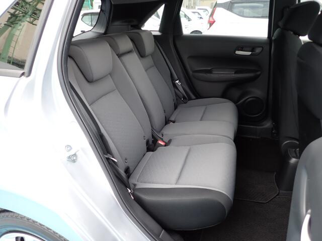 �㕔���Ȃ��傫�ȎC����Ȃ���ԗǍD�ł��B