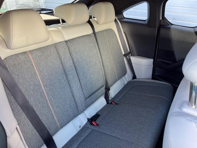 �㕔���Ȃ��C�ɂȂ�悤�ȃL�Y�E�����ւ��蓙�A�傫�ȃ_���[�W�͂Ȃ��A�ǍD�ȏ�Ԃł��B