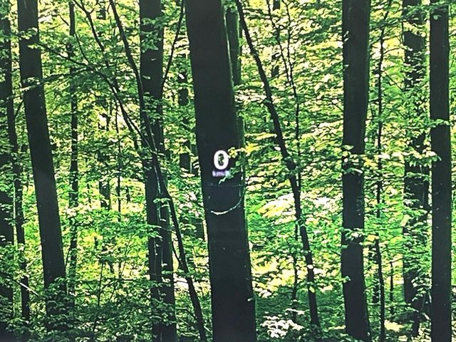 �y�J���[�w�b�h�A�b�v�f�B�X�v���C�z���݂̑��x�⑖�s�����f�W�^���\���ŉ^�]�ȑO���̃K���X�ɓ��e!�J���[�t���Ŏ��F���������A�^�]���ڐ������炳���K�v�ȏ����m�F�ł���̂łƂ��Ă��֗��ň��S!