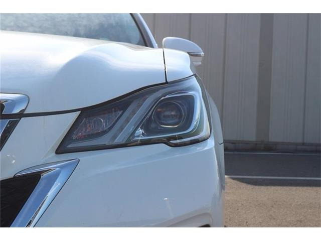 ���Ǝҗl�ւ̔̔��͂��f�肳���Ă��������܂��B �Ԍ������ԗ��̏ꍇ�́A�Ԍ����擾�������x�������z�ŕ\�����Ă���܂��B