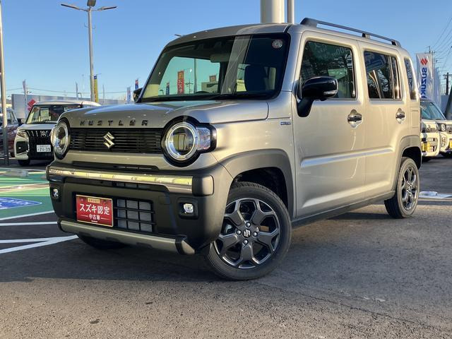 ハスラータフワイルド