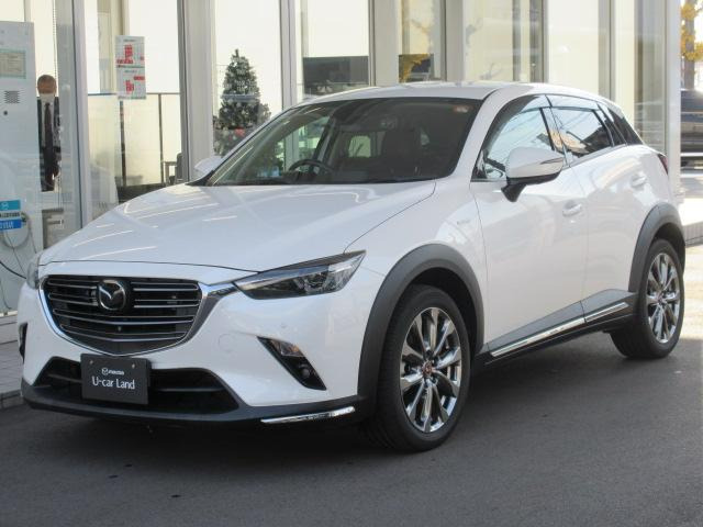 CX-31.8 XD