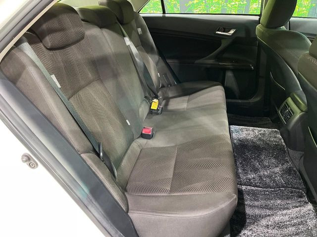 �㕔���Ȃ��C�ɂȂ�悤�ȃL�Y�E�����ւ��蓙�A�傫�ȃ_���[�W�͂Ȃ��A�ǍD�ȏ�Ԃł��B