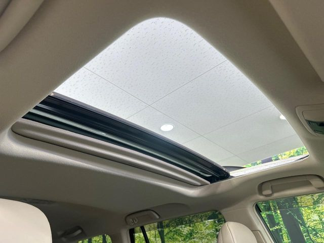 �y�T�����[�t�z�J���������Ղ�̊󏭑����A�T�����[�t����������Ă��܂�!�ԓ��ɖ�����������ꂽ��i�F���y���ވȊO�ɂ��A�ԓ��̋�C���ȒP�Ɋ��C�ł��ĉ��K�ł�!