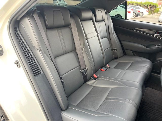 �㕔���Ȃ��C�ɂȂ�悤�ȃL�Y�E�����ւ��蓙�A�傫�ȃ_���[�W�͂Ȃ��A�ǍD�ȏ�Ԃł��B