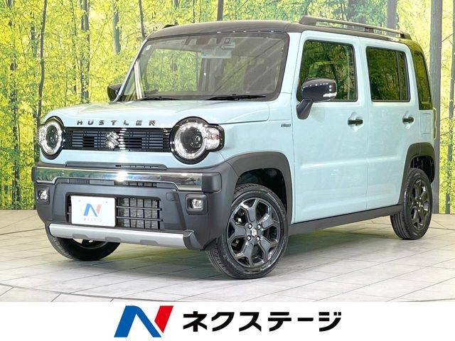 ハスラータフワイルド