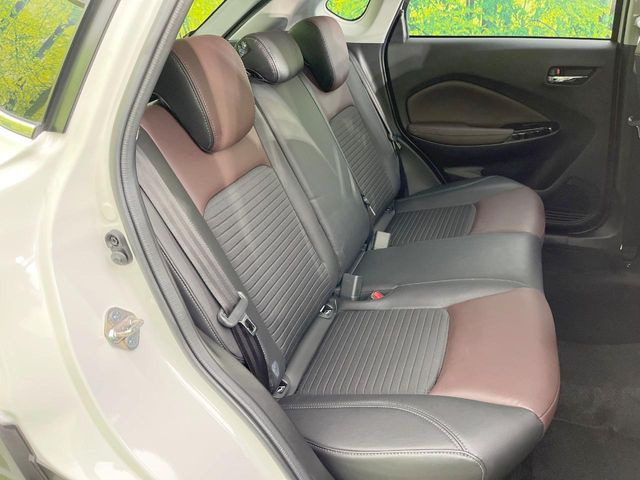 �㕔���Ȃ��C�ɂȂ�悤�ȃL�Y�E�����ւ��蓙�A�傫�ȃ_���[�W�͂Ȃ��A�ǍD�ȏ�Ԃł��B