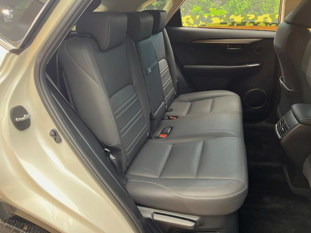 �㕔���Ȃ��C�ɂȂ�悤�ȃL�Y�E�����ւ��蓙�A�傫�ȃ_���[�W�͂Ȃ��A�ǍD�ȏ�Ԃł��B