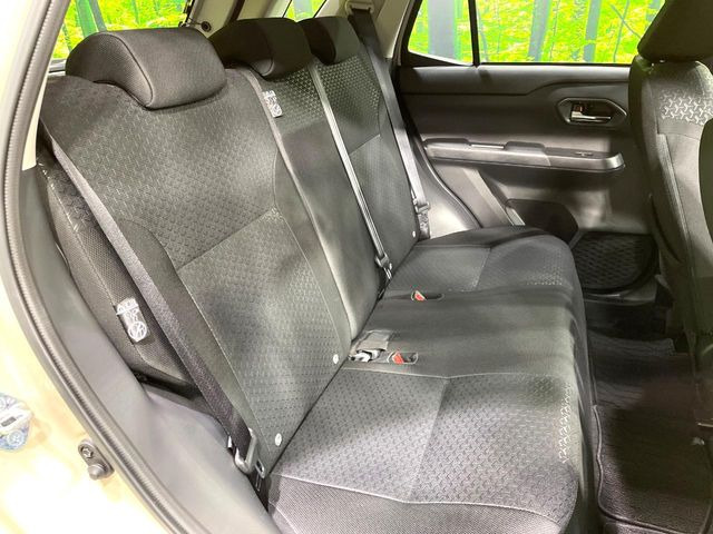 �㕔���Ȃ��C�ɂȂ�悤�ȃL�Y�E�����ւ��蓙�A�傫�ȃ_���[�W�͂Ȃ��A�ǍD�ȏ�Ԃł��B