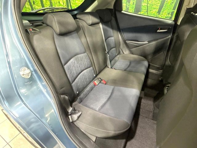 �㕔���Ȃ��C�ɂȂ�悤�ȃL�Y�E�����ւ��蓙�A�傫�ȃ_���[�W�͂Ȃ��A�ǍD�ȏ�Ԃł��B