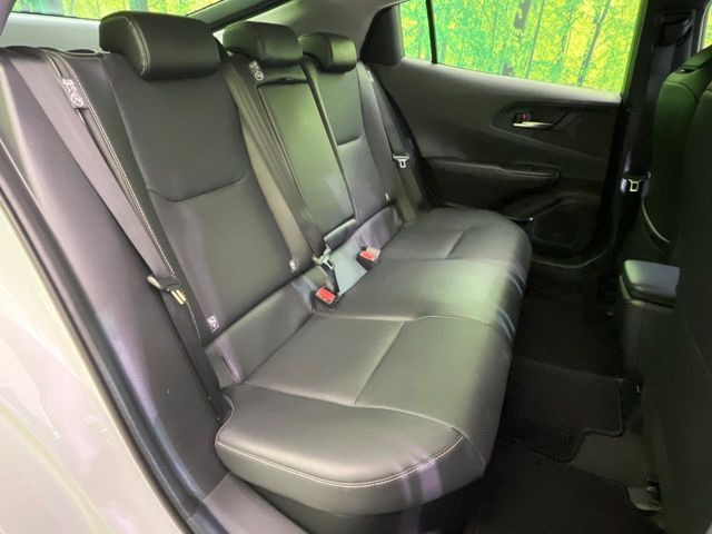 �㕔���Ȃ��C�ɂȂ�悤�ȃL�Y�E�����ւ��蓙�A�傫�ȃ_���[�W�͂Ȃ��A�ǍD�ȏ�Ԃł��B