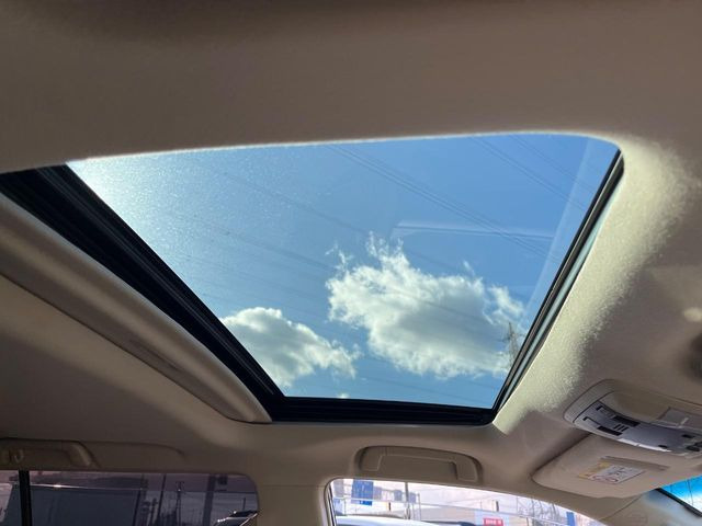 �y�T�����[�t�z�J���������Ղ�̊󏭑����A�T�����[�t����������Ă��܂�!�ԓ��ɖ�����������ꂽ��i�F���y���ވȊO�ɂ��A�ԓ��̋�C���ȒP�Ɋ��C�ł��ĉ��K�ł�!