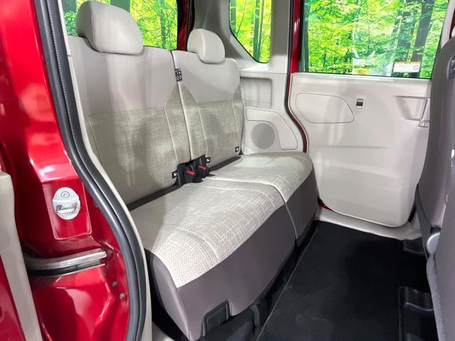 �㕔���Ȃ��C�ɂȂ�悤�ȃL�Y�E�����ւ��蓙�A�傫�ȃ_���[�W�͂Ȃ��A�ǍD�ȏ�Ԃł��B