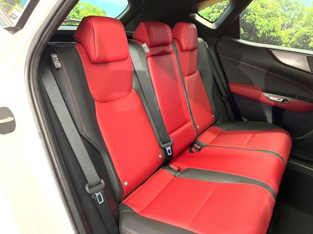 �㕔���Ȃ��C�ɂȂ�悤�ȃL�Y�E�����ւ��蓙�A�傫�ȃ_���[�W�͂Ȃ��A�ǍD�ȏ�Ԃł��B