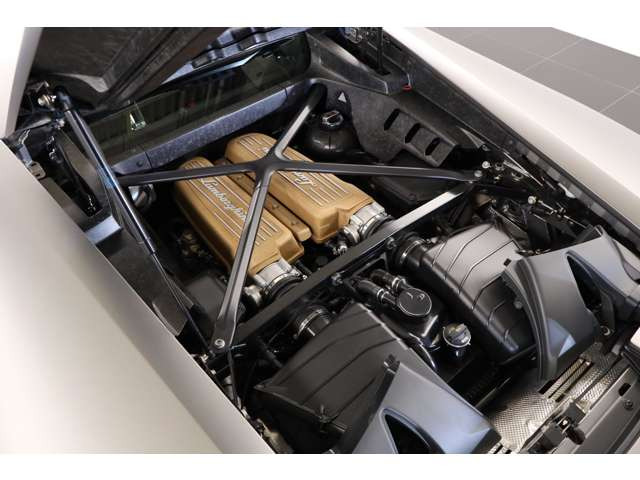 �u�����Y�d�グ�̃}�j�z�[���h�J�o�[���G���W�����[�����ʂ�A���J�j�J���ȕ��͋C�������B���o�I�ȓ��ʊ����y���߂�\���ł��B