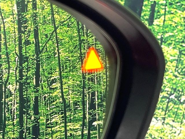 �y������p���m�z���s���A�h�A�~���[�̎��p�ɂȂ�₷���ӏ��Ɍ㑱�Ԃ��ڋ߂���ƃT�C�h�~���[�t�߂Ɍx����\���A�h���C�o�[�ɒ��ӊ��N�����Ă���܂��B